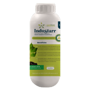 InduStarr