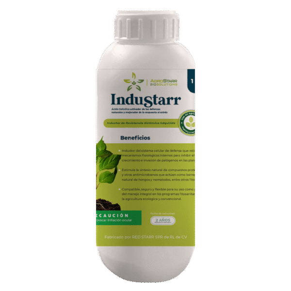 InduStarr