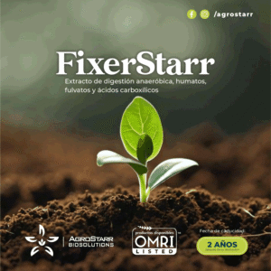 Fixestarr - Image 2