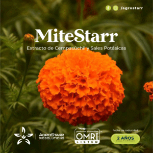 MiteStarr 1 L - Image 5