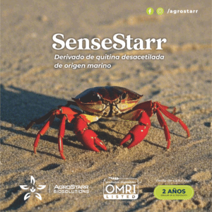 SenseStarr - Image 5